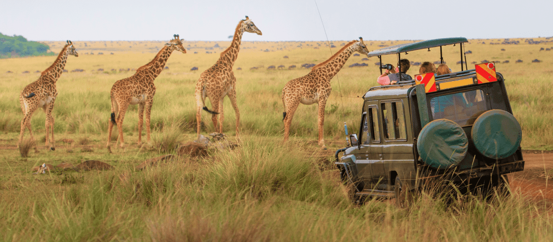 Macera Tutkunlarının Nefesini Kesen En İyi 10 Safari Rotası
