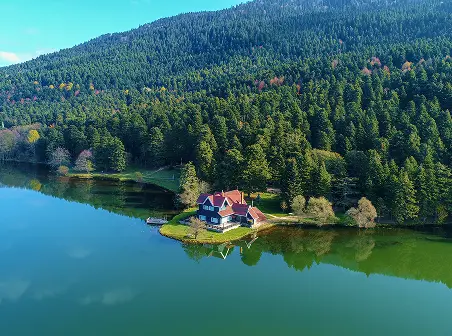 Immersed in Nature
